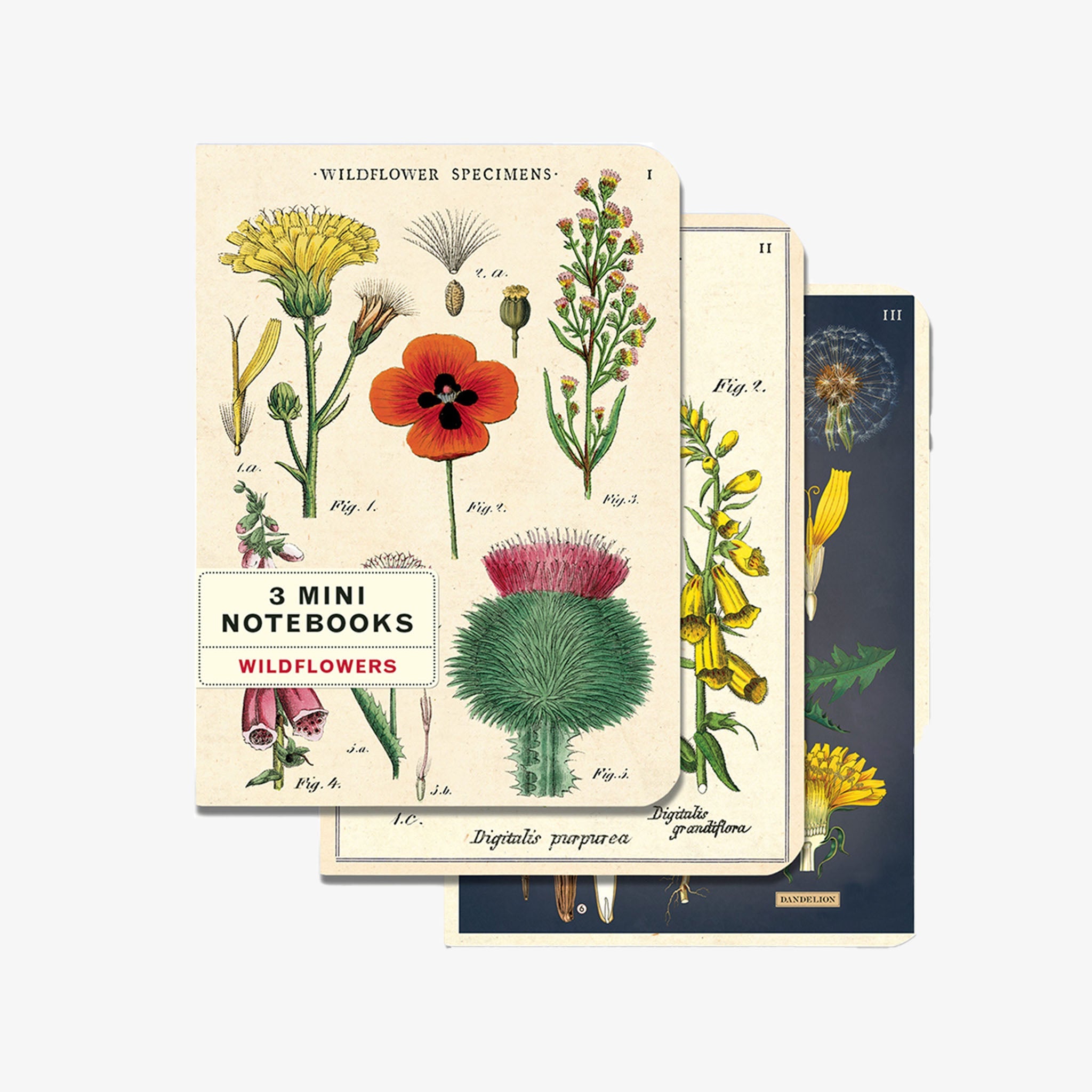 Set of writing notebooks with vintage flower illustrations on a white background at Addison West