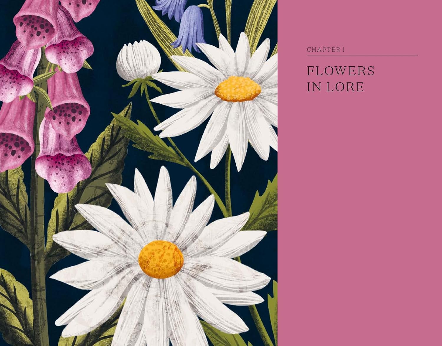 The Hidden History of Flowers - Addison West 