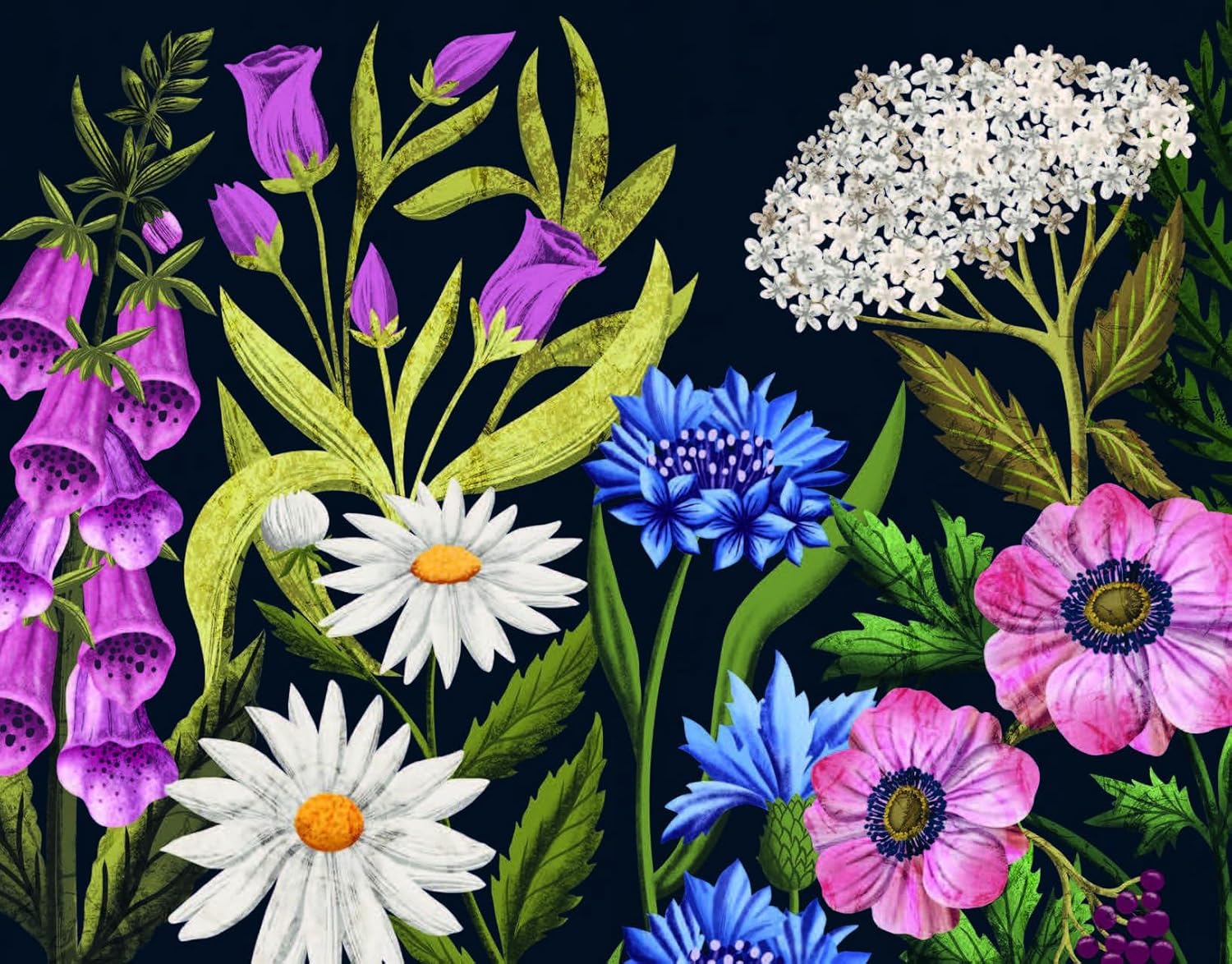 The Hidden History of Flowers - Addison West 