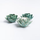 Blue succulent tea light holders on a white background