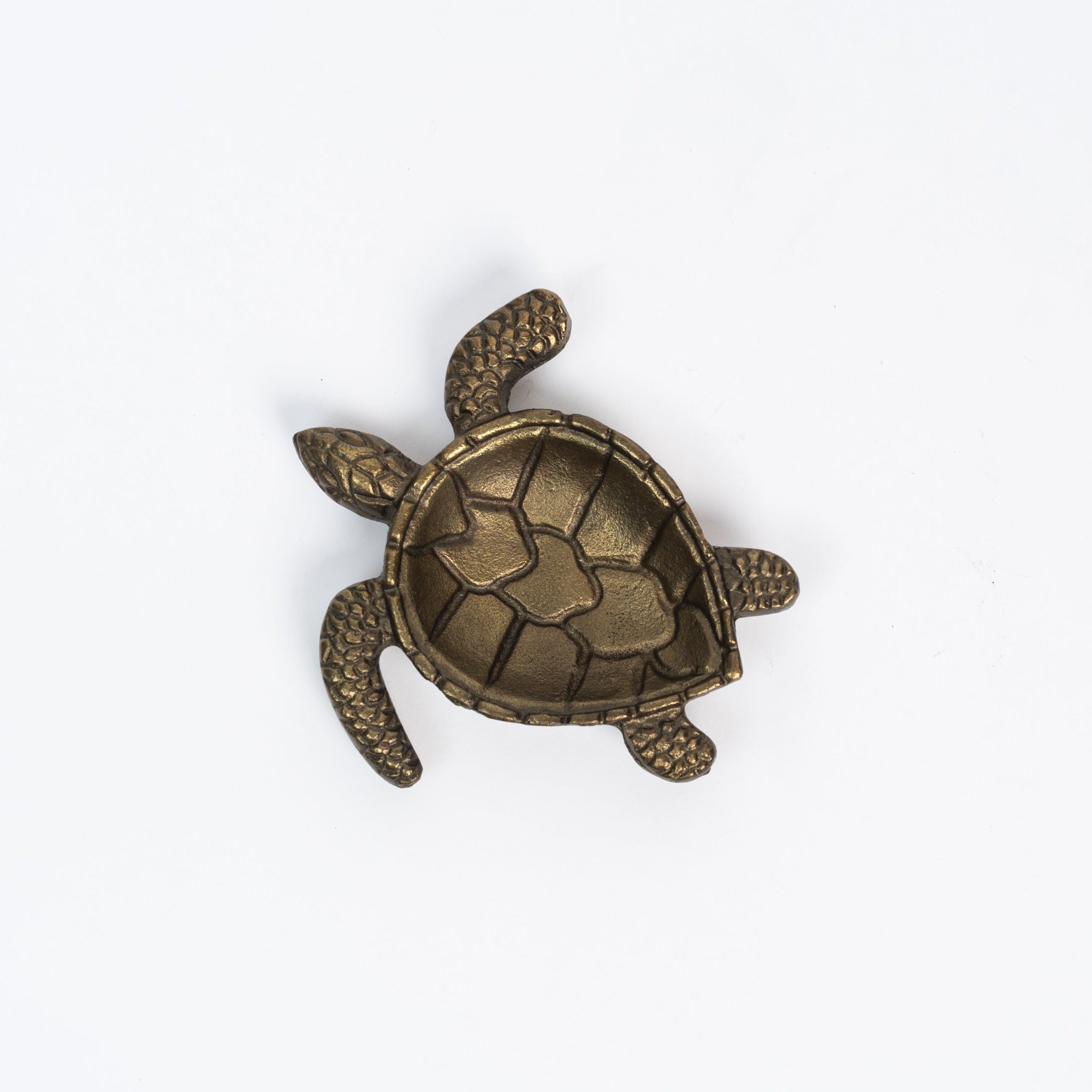 Brass Turtle Tray on a white background