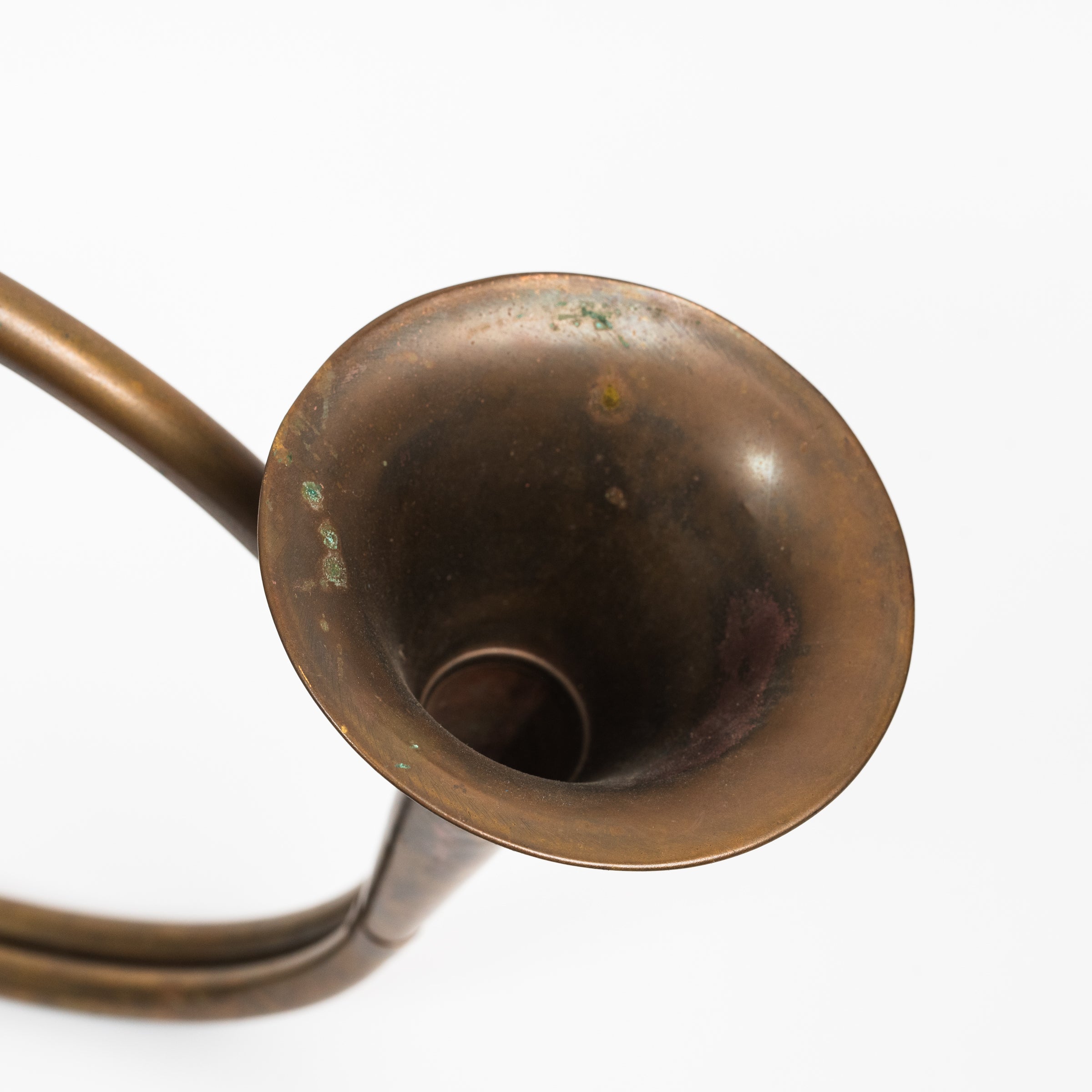 Vintage Brass Horn on a white background at Addison West