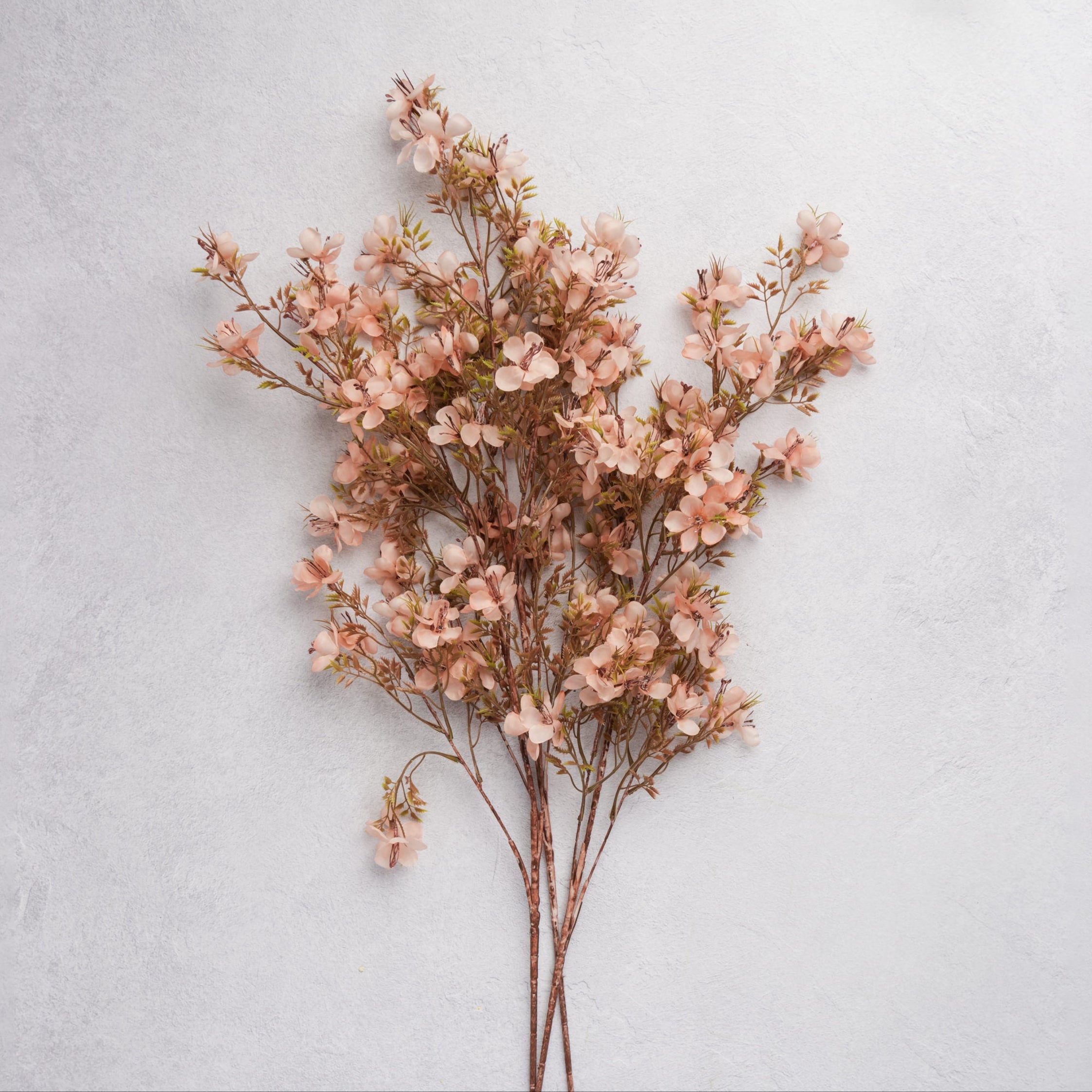 Abigail Ahern Faux Prunus in Blossom on a white background at Addison West