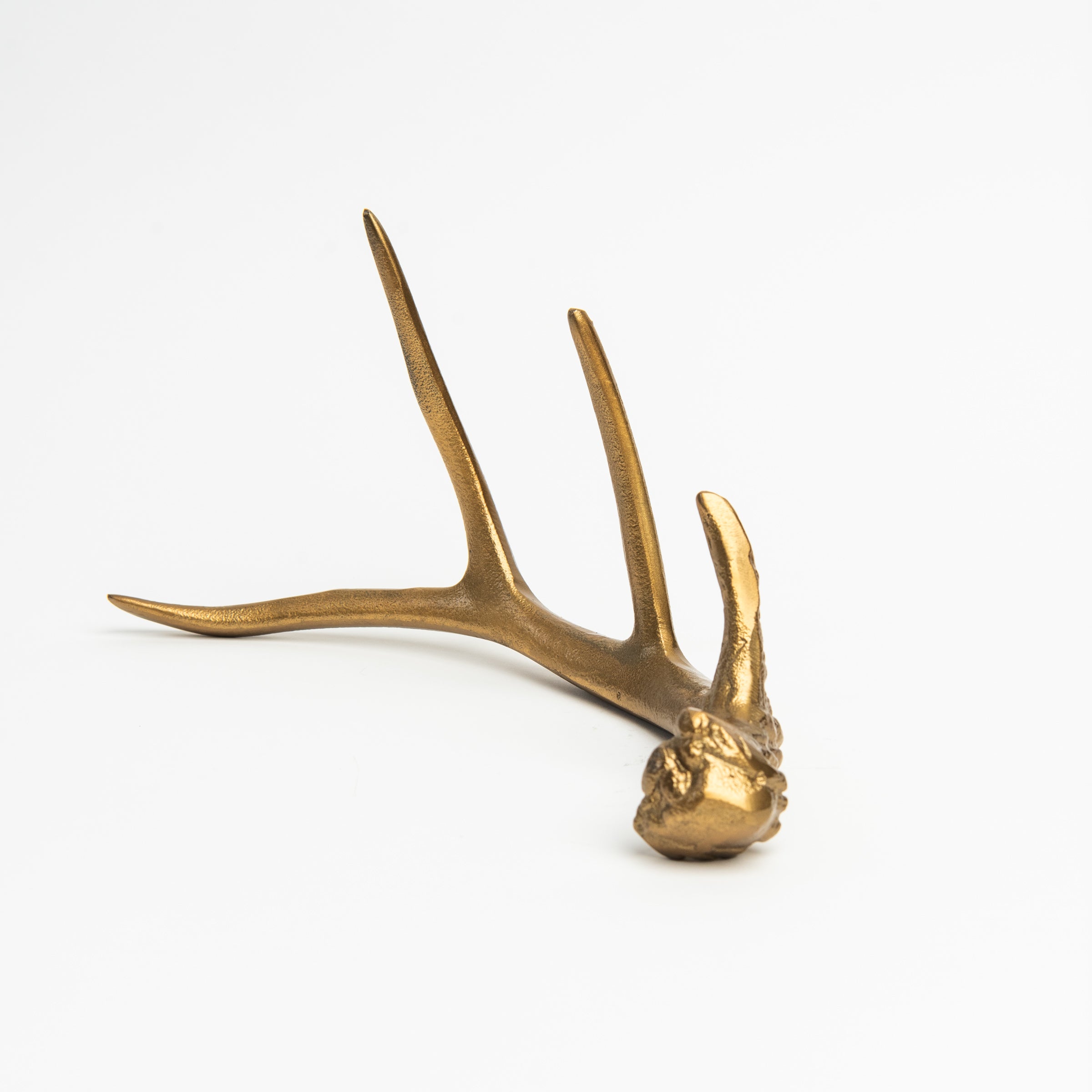 Antique Gold Antler on a white background at Addison West