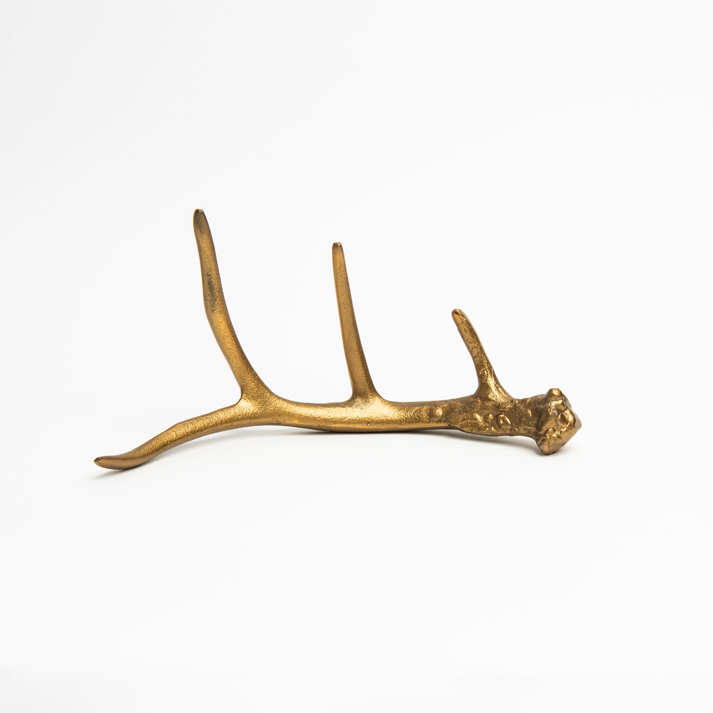 Antique Gold Antler on a white background at Addison West