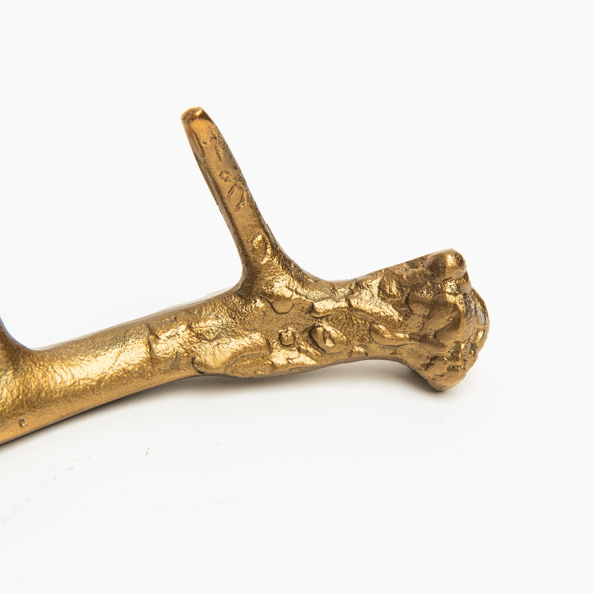 Close up of Antique Gold Antler on a white background at Addison West