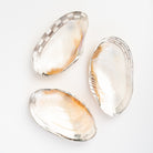 Felicity Footed Shell Dish on a white background at Addison West