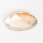 Felicity Footed Shell Dish on a white background at Addison West