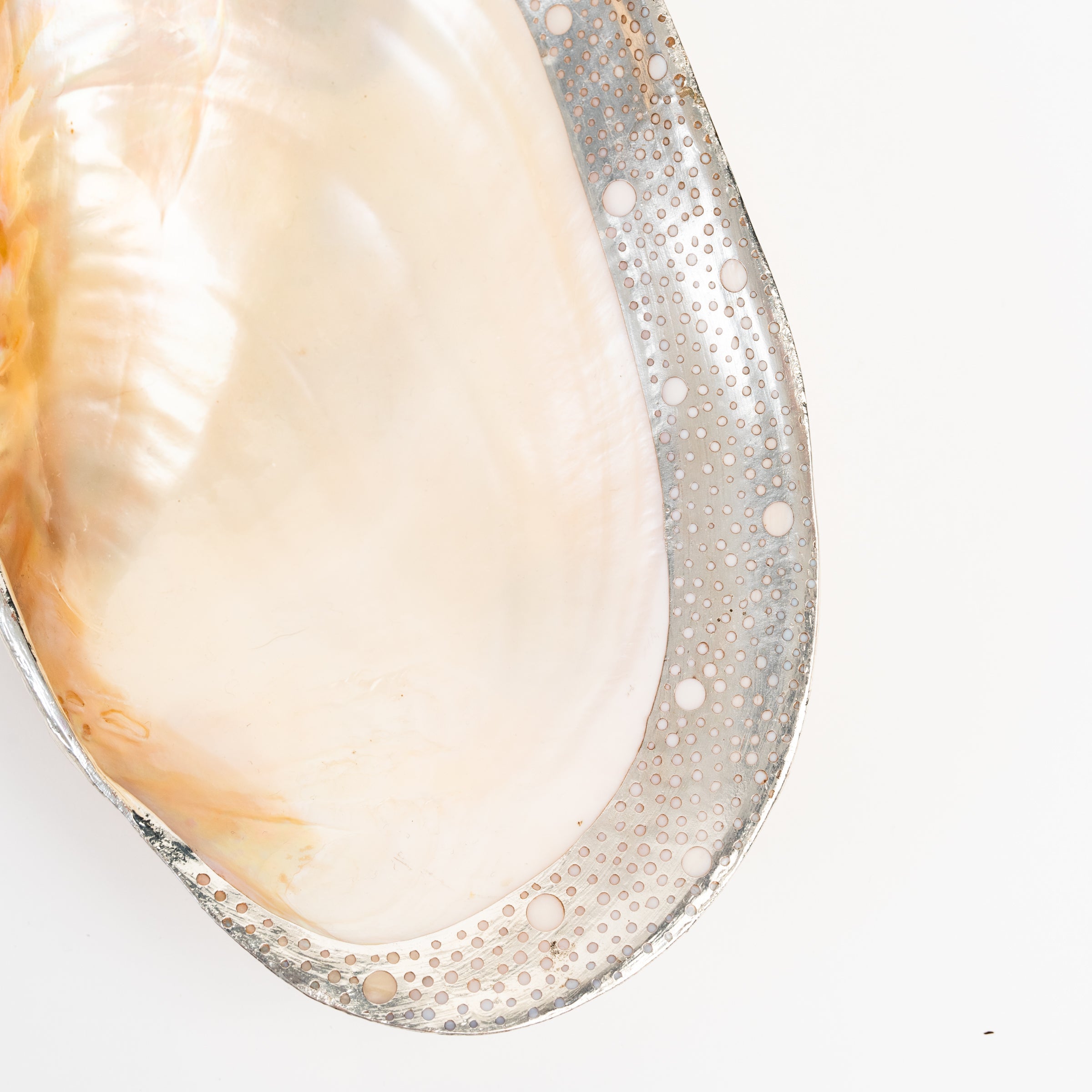 Felicity Footed Shell Dish on a white background at Addison West