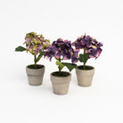 6.5" Mini Potted Hydrangea in Lavender on a white background at Addison West