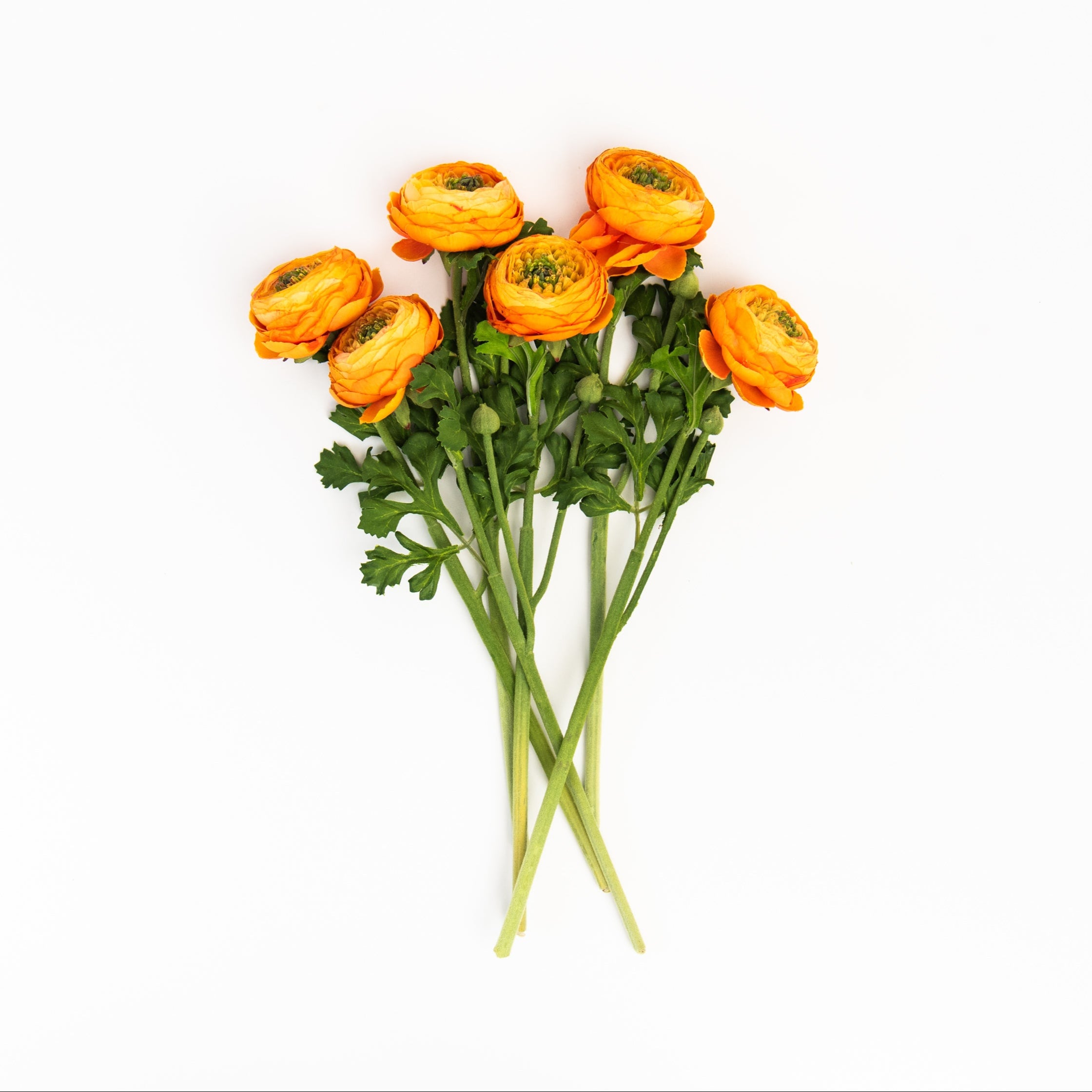 Silk Ranunculus Spray in Orange on a white background at Addison West