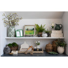 Black counter and white shelves with various green and white and brown decorative items like baskets and boxes