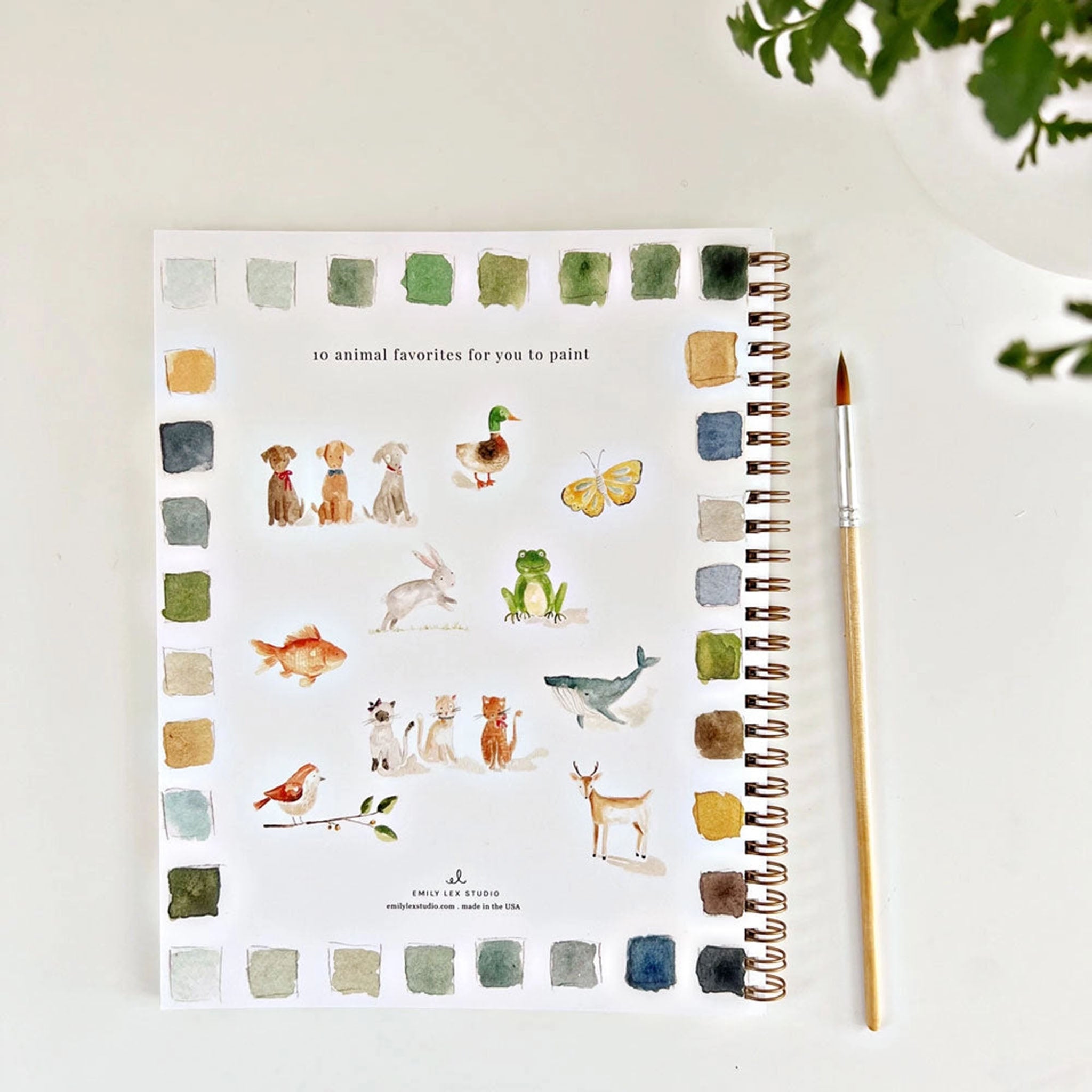 Animals Watercolor Workbook - Addison West 