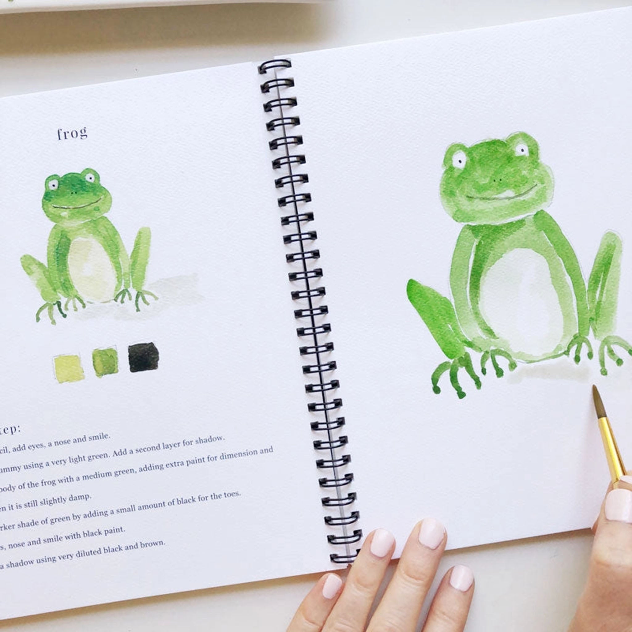 Animals Watercolor Workbook - Addison West 