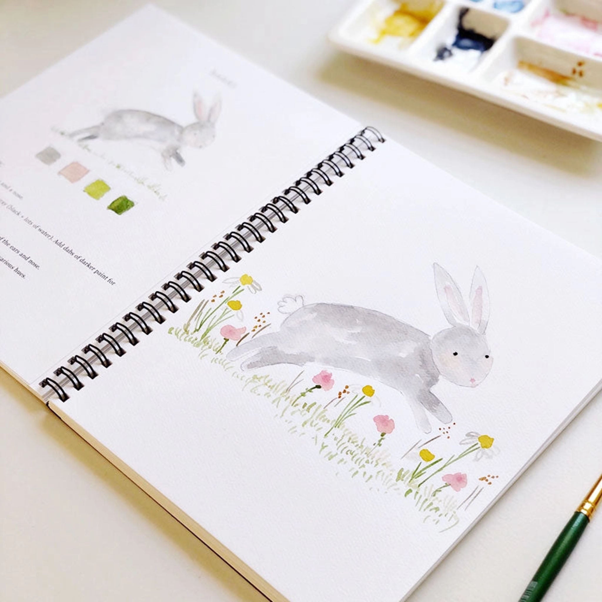 Animals Watercolor Workbook - Addison West 