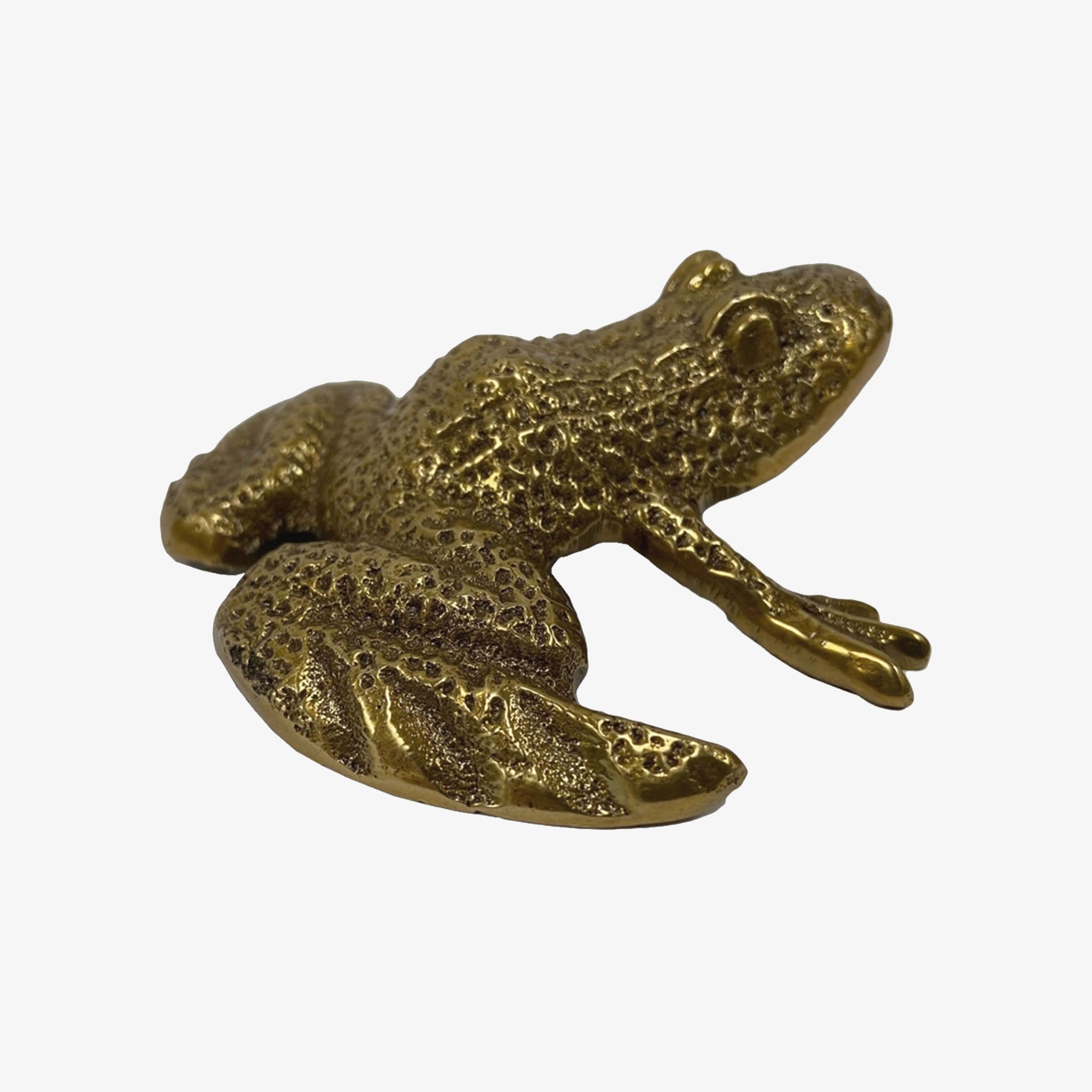 Antiqued Brass Frog paperweight on w white background