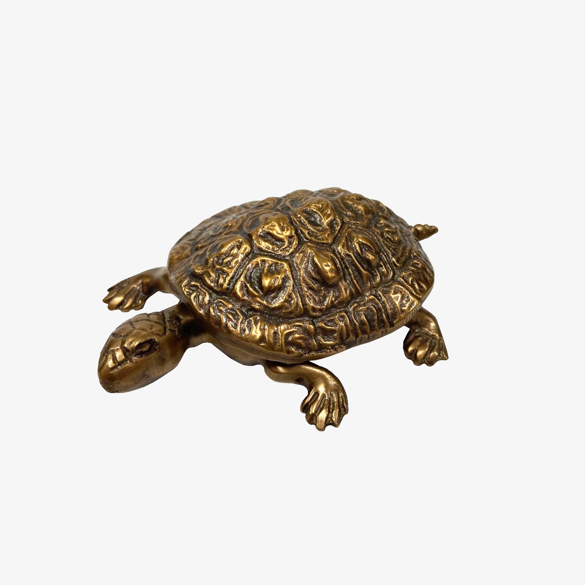 Antique Brass Turtle Box - Addison West 