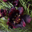 Close up of Abigail Ahern Faux Cosmos in Burgundy faux florals at Addison West