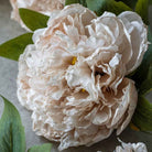 Close up of Abigail Ahern Faux Peony in Evening Dew on a grey background at Addison West