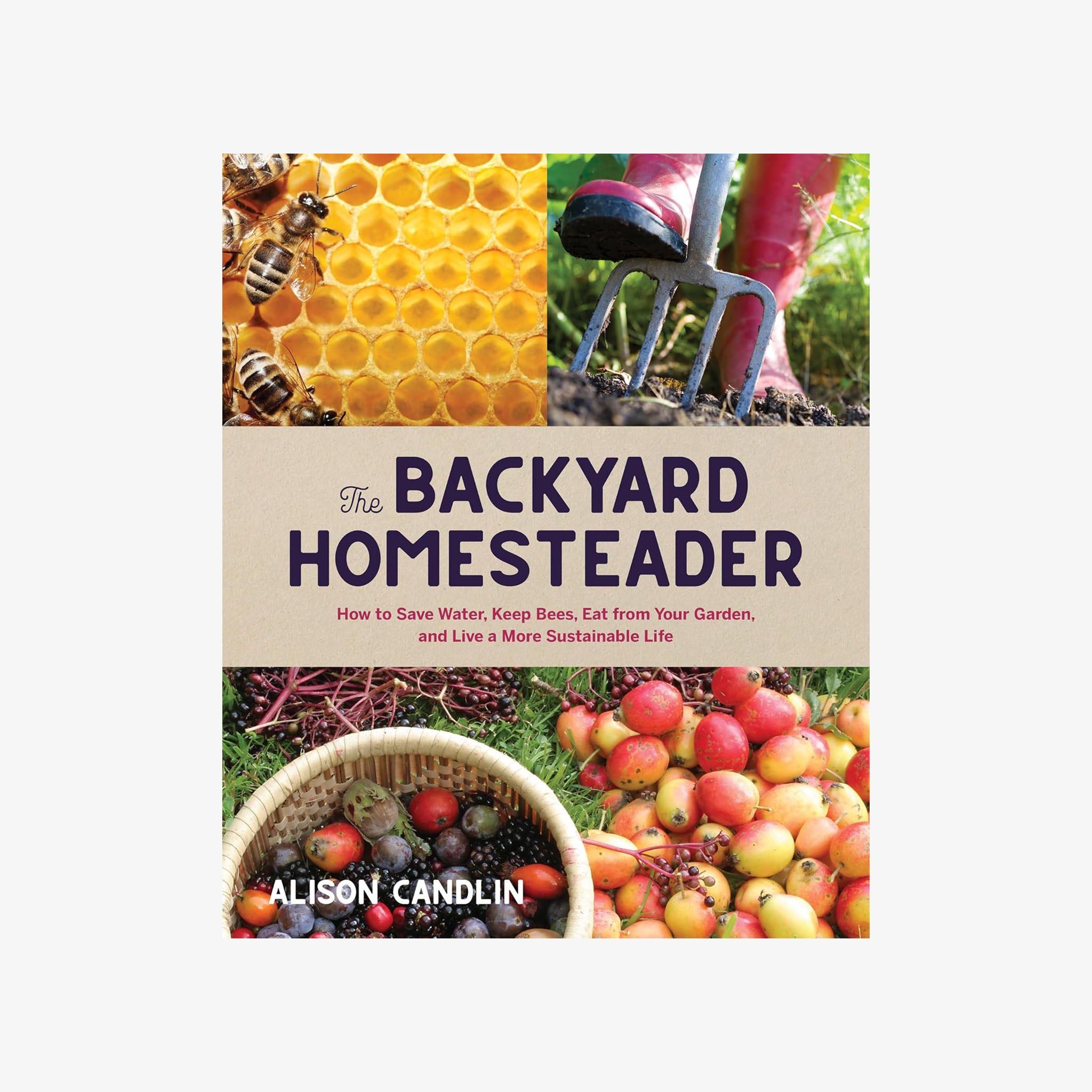 Front cover of book Backyard Homesteader 