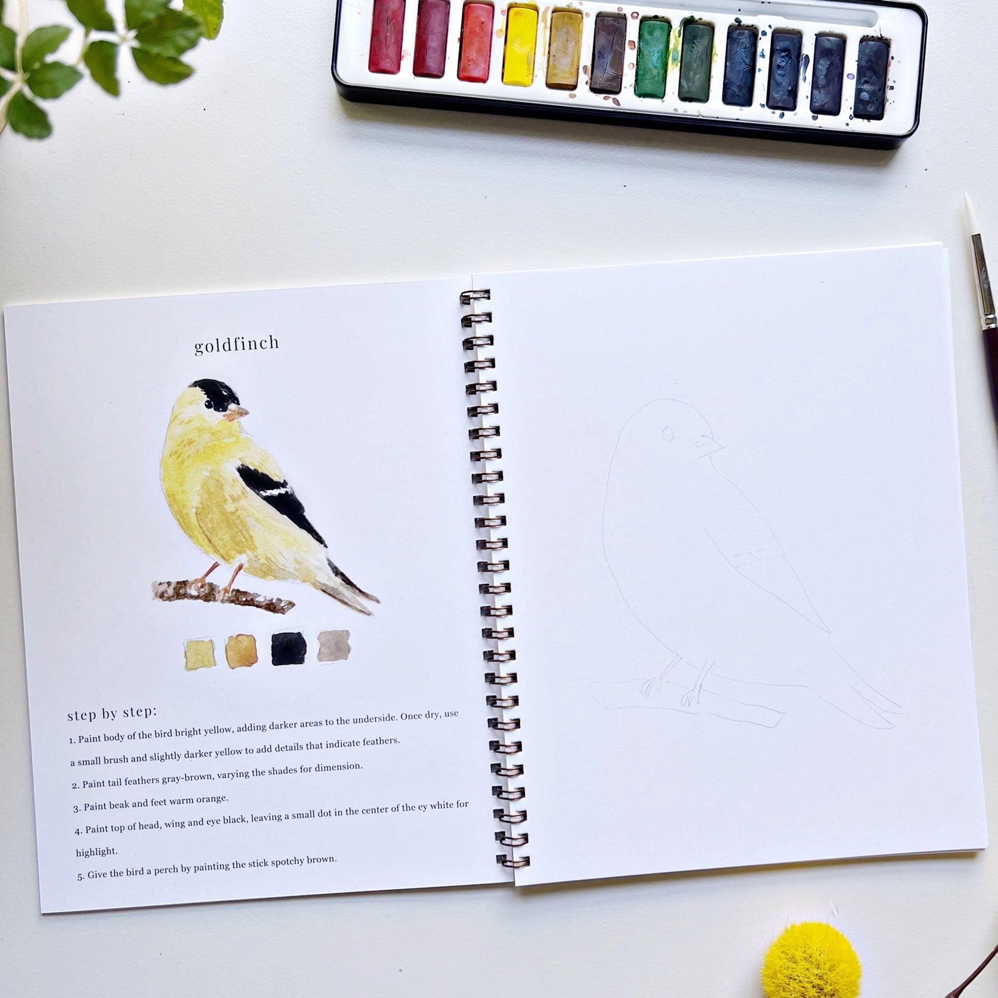 Birds Watercolor Workbook - Addison West 