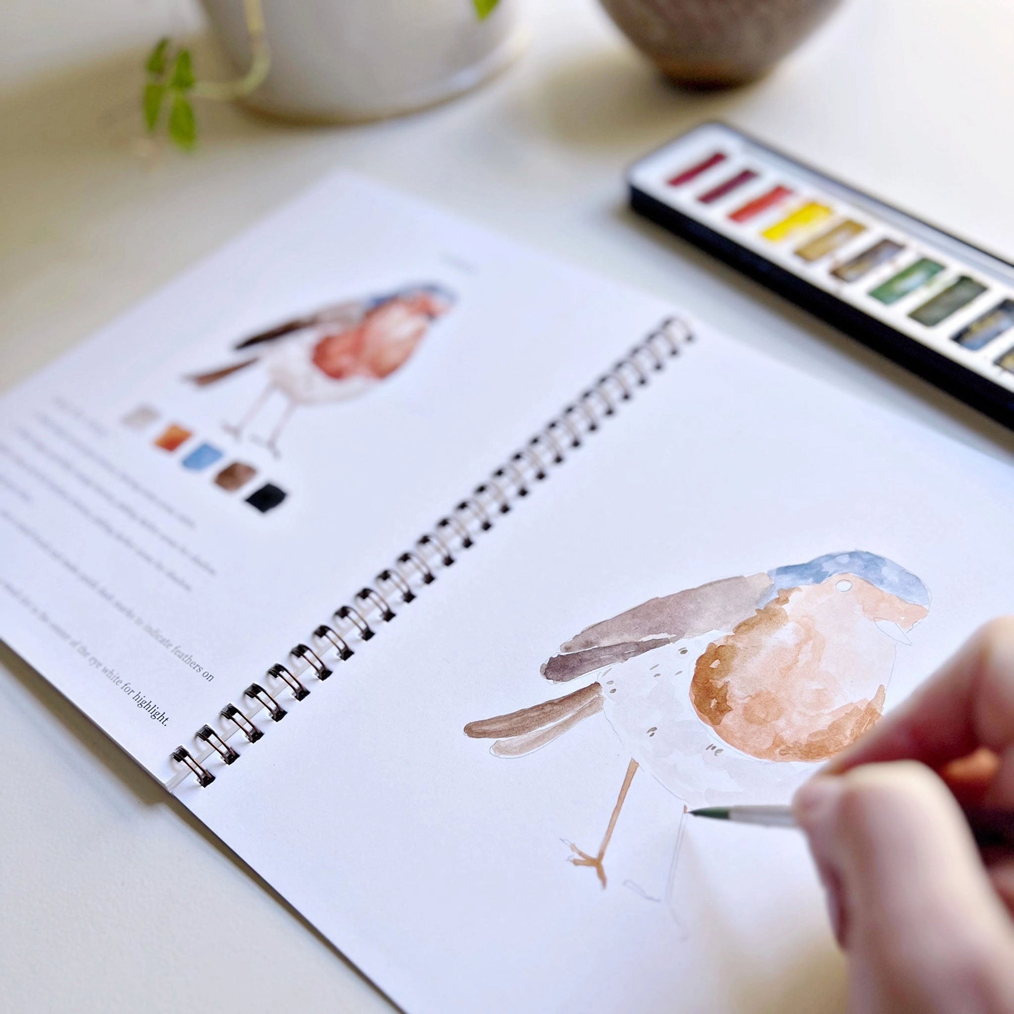 Birds Watercolor Workbook - Addison West 