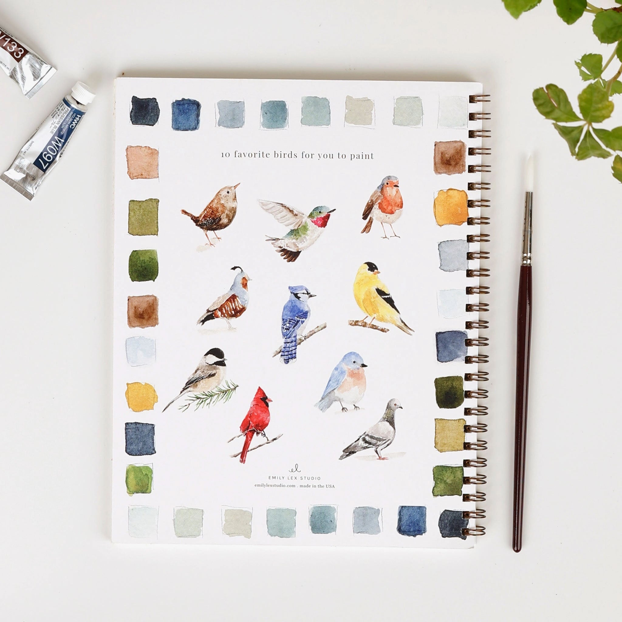 Birds Watercolor Workbook - Addison West 