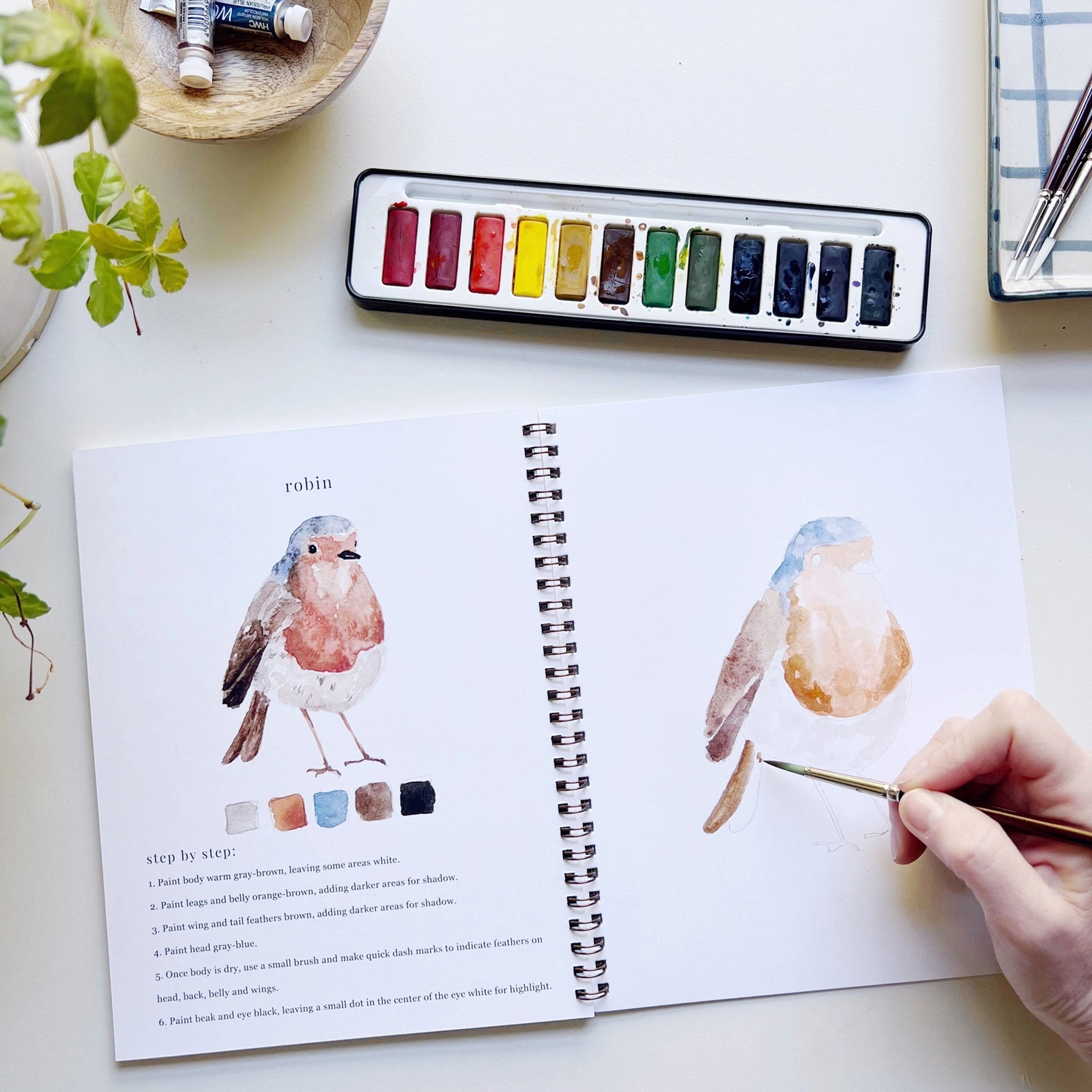 Birds Watercolor Workbook - Addison West 