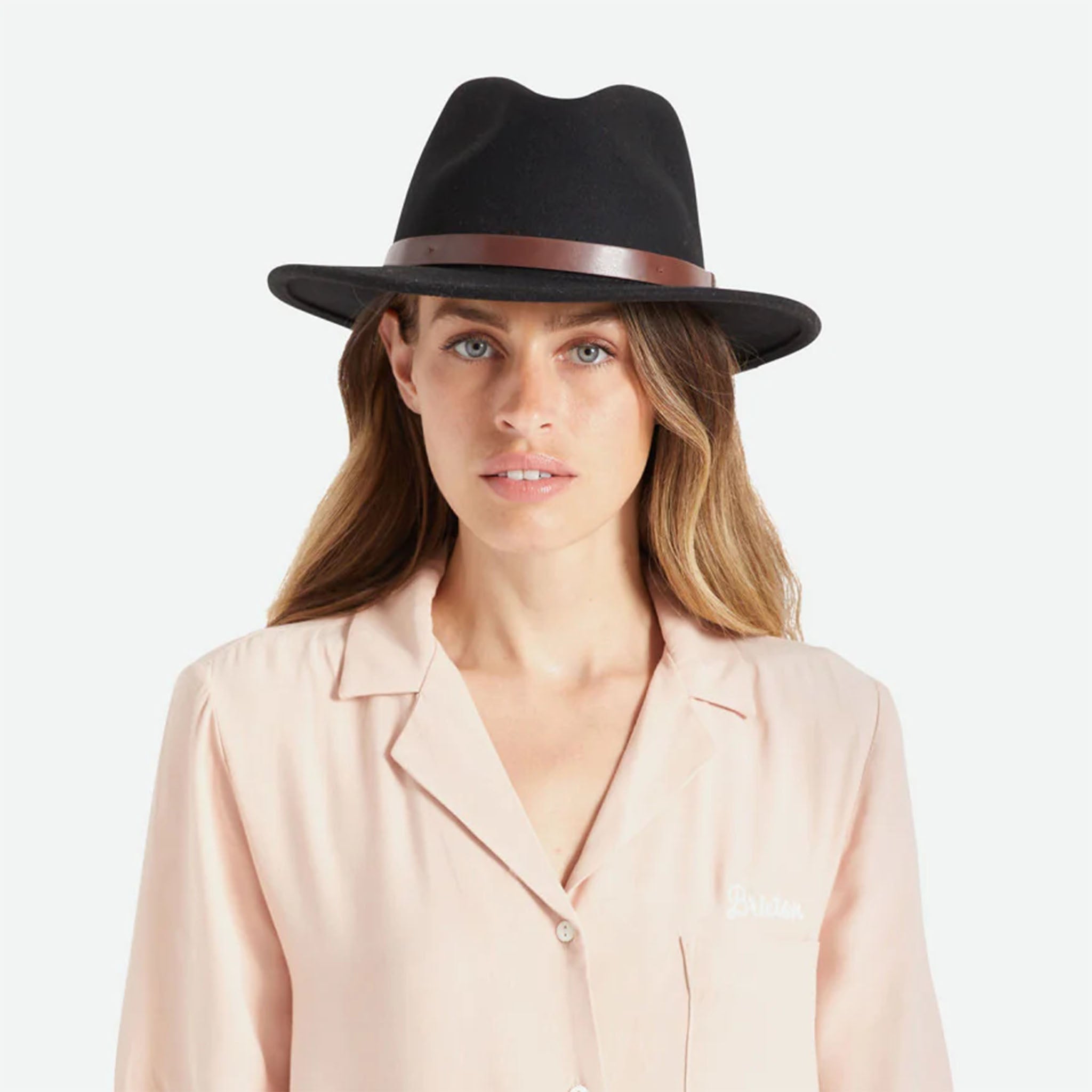 Brixton Messer Fedora in Black + Brown - Addison West 