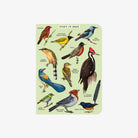 Cavallini Paper Bird Watching Mini Notebooks - Addison West 