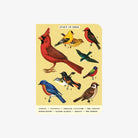 Cavallini Paper Bird Watching Mini Notebooks - Addison West 