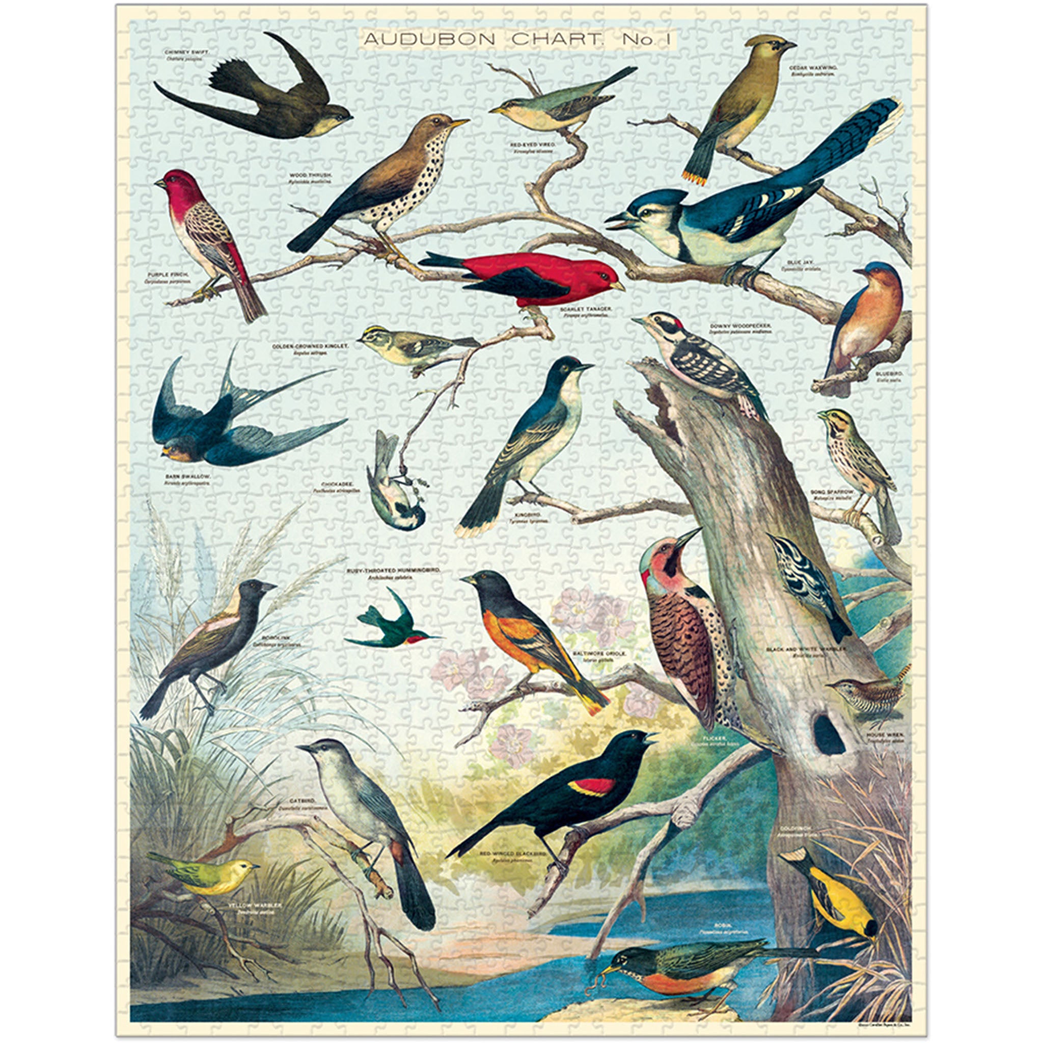 Cavallini Paper Birds Puzzle - Addison West 