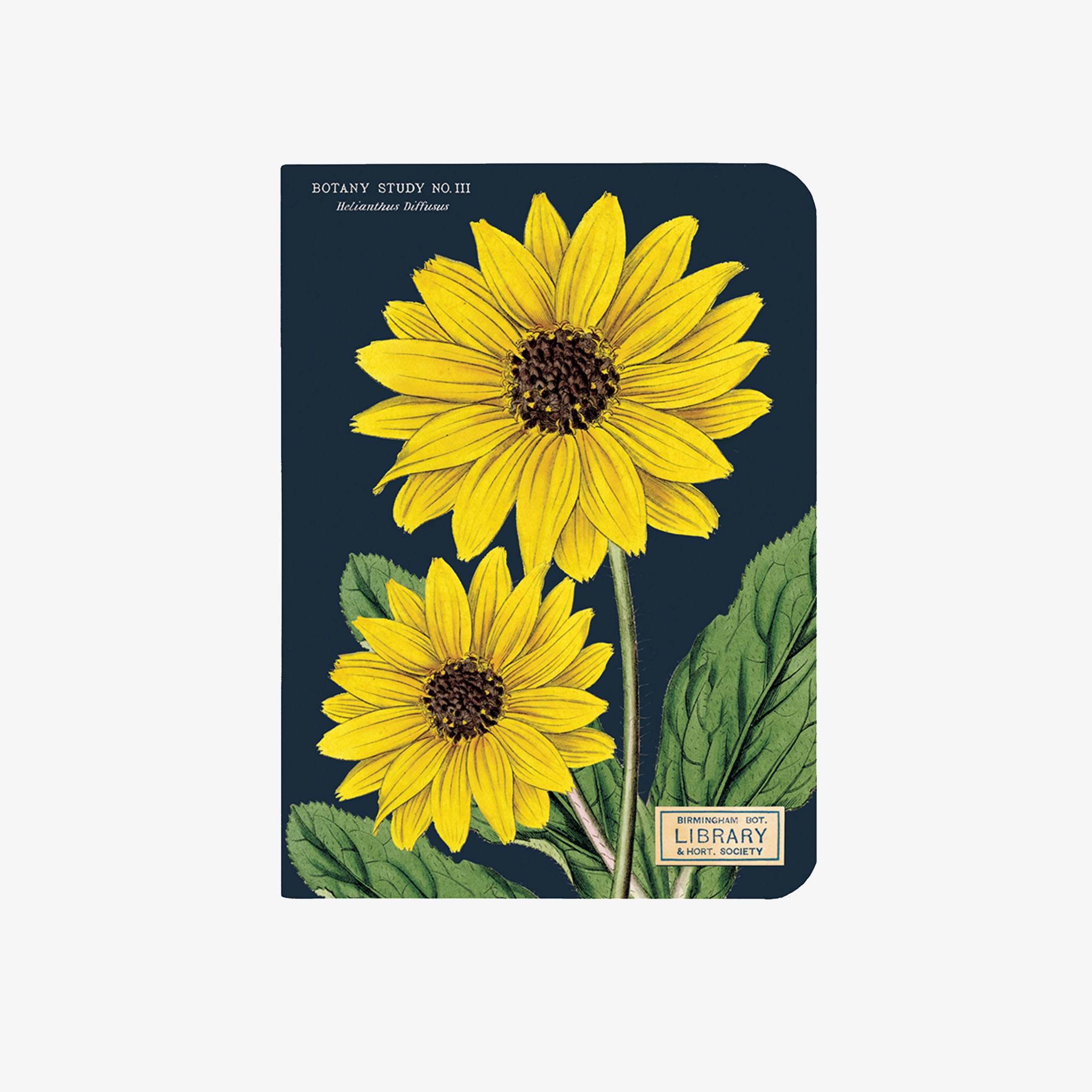 Cavallini Paper Botany Mini Notebooks - Addison West 