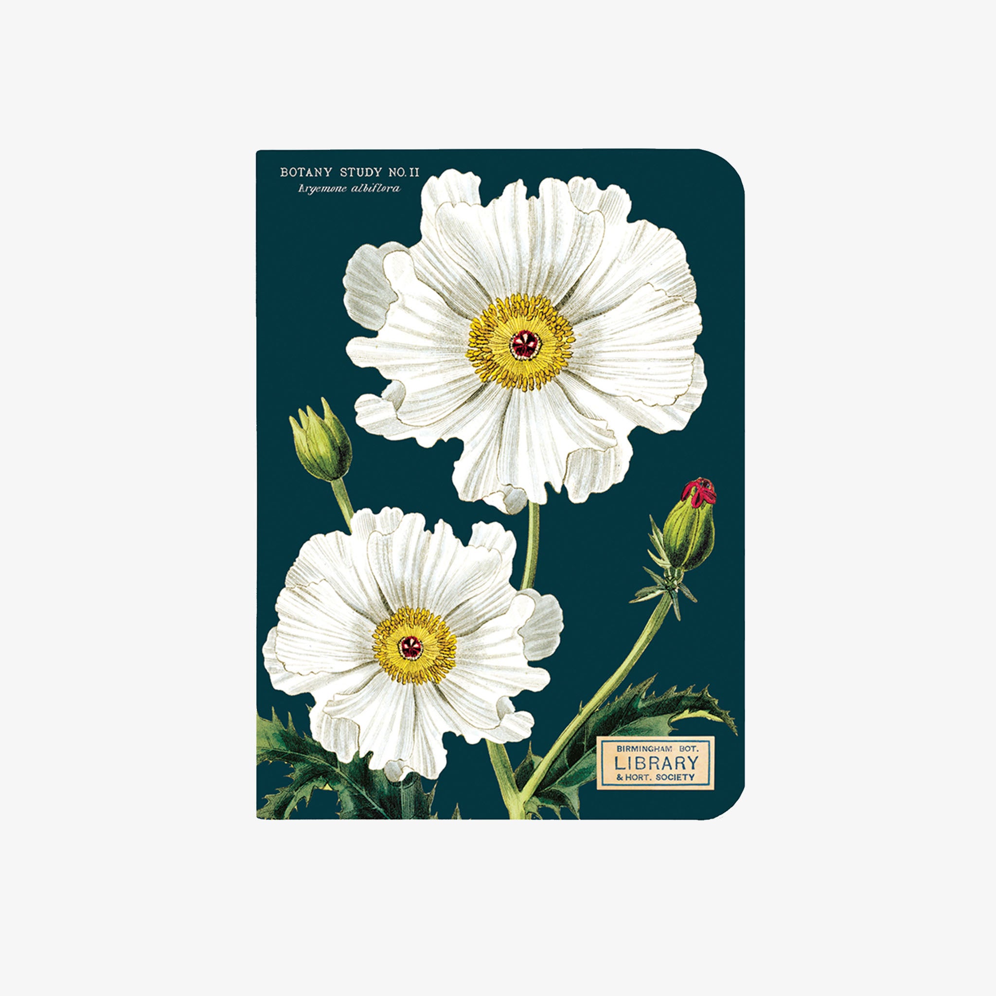 Cavallini Paper Botany Mini Notebooks - Addison West 