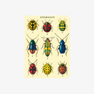 Cavallini Paper Bugs & Insects Mini Notebooks - Addison West 