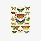 Cavallini Paper Butterflies Mini Notebooks - Addison West 