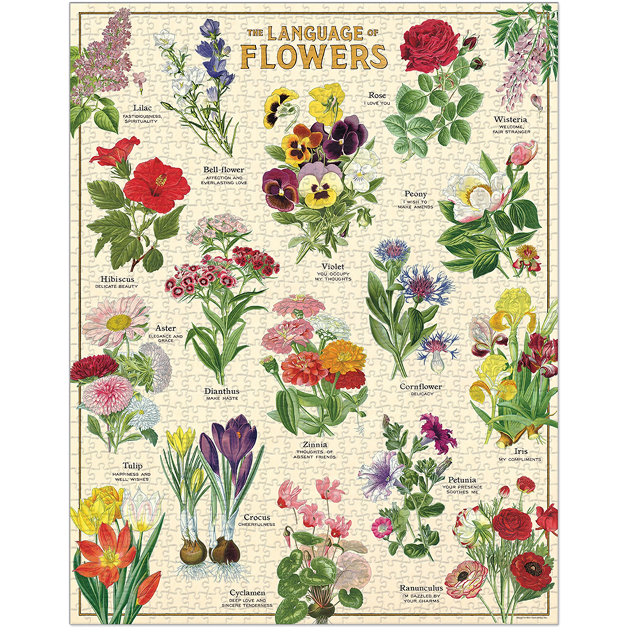 Cavallini Paper Language of Flowers Puzzle - Addison West 