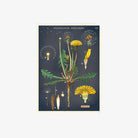 Cavallini Paper Wildflowers Mini Notebooks - Addison West 