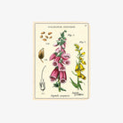 Cavallini Paper Wildflowers Mini Notebooks - Addison West 