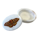 Emperor Moth White Oval Soap Stone Box - Addison West 