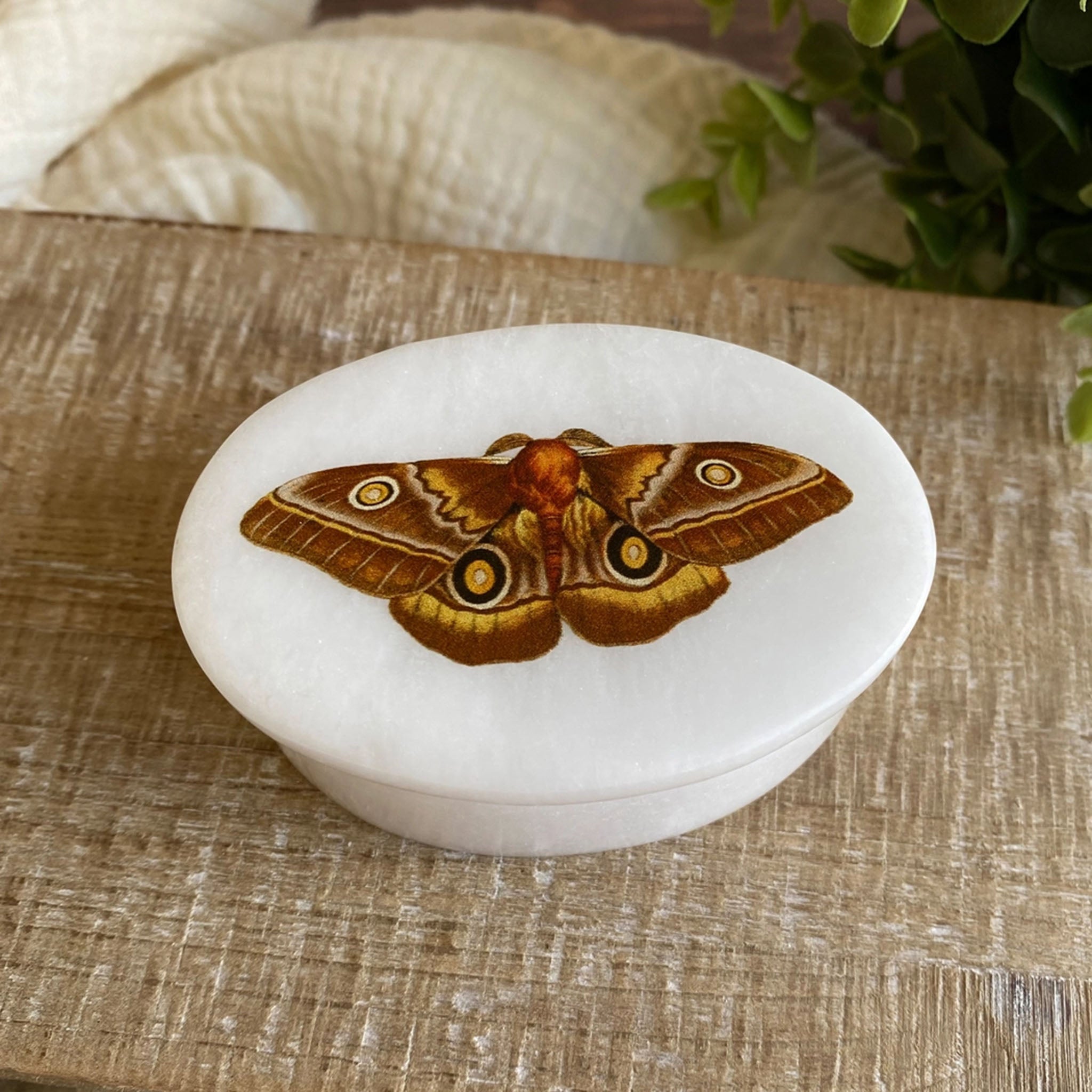 Emperor Moth White Oval Soap Stone Box - Addison West 