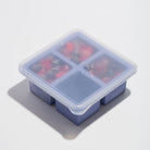 Four Cup Cube Food Freezer Tray - Blue - Addison West 