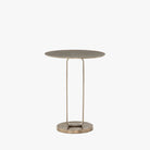 Four Hands Douglas End Table In Aged Bronze - Addison West 