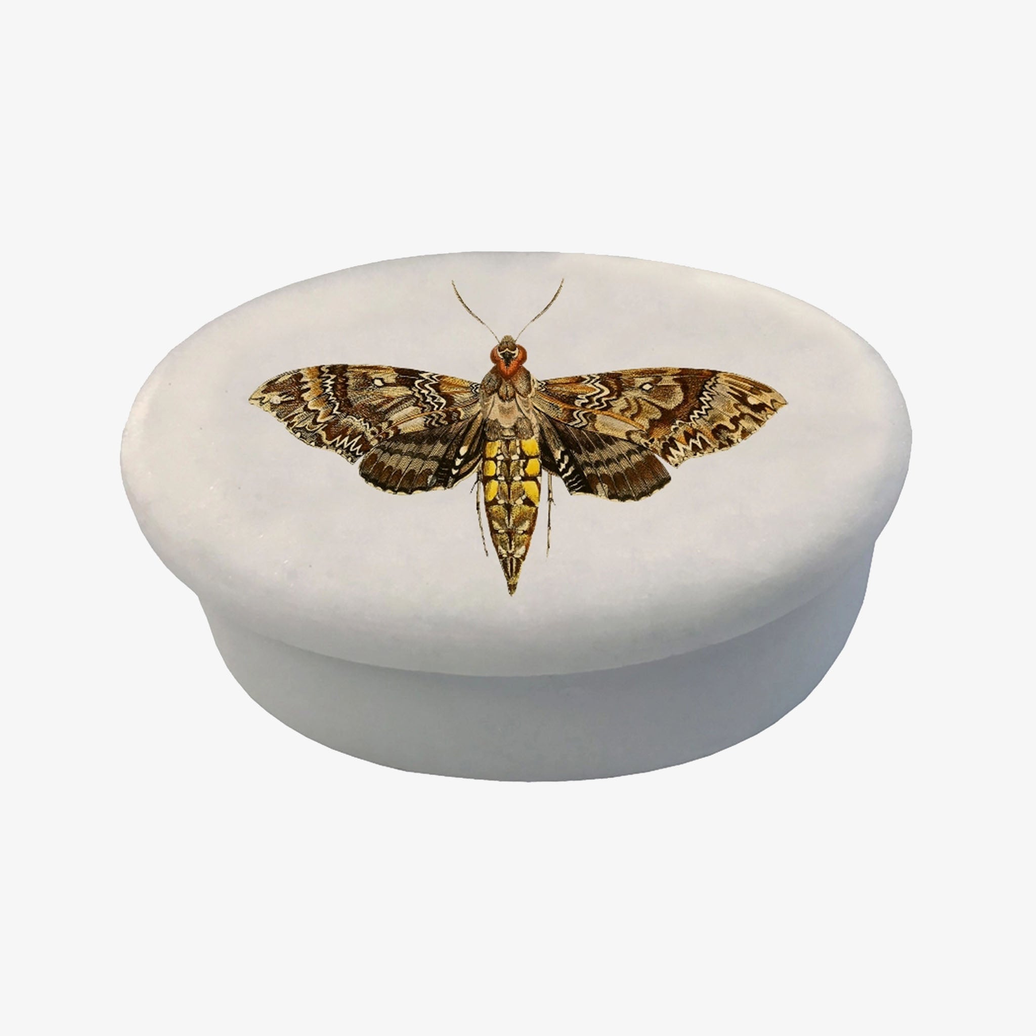 Hawk Moth White Oval Soap Stone Box - Addison West 