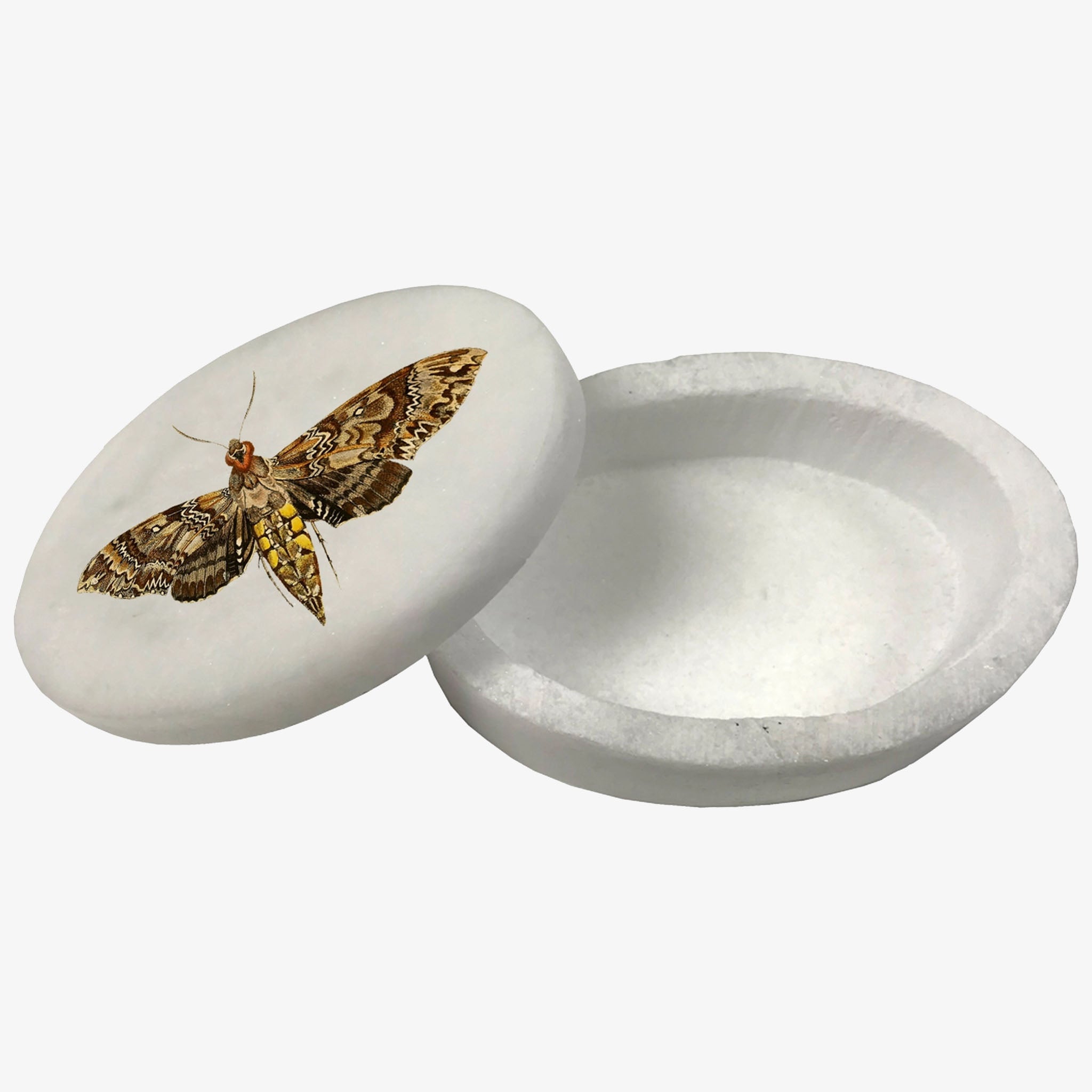 Hawk Moth White Oval Soap Stone Box - Addison West 