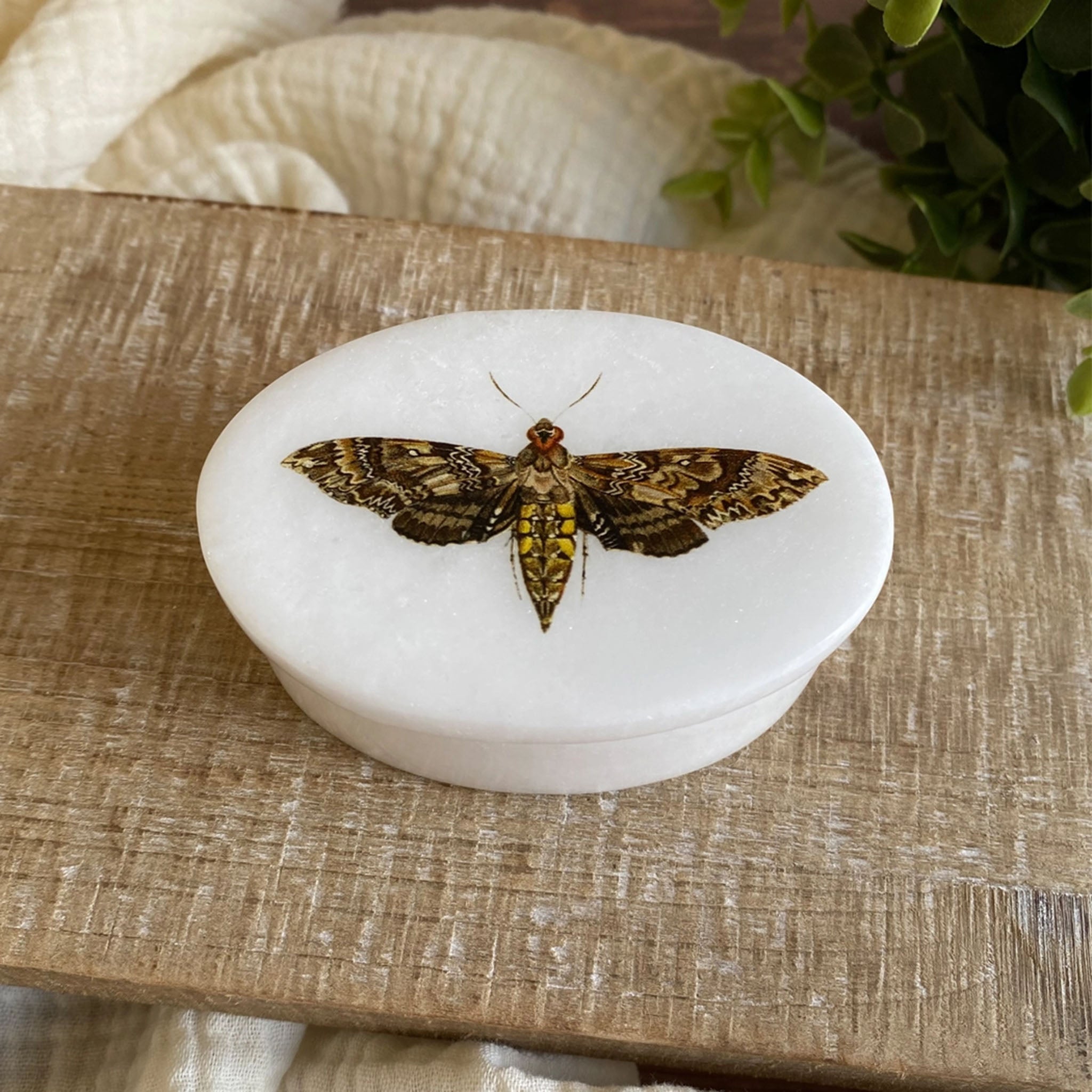 Hawk Moth White Oval Soap Stone Box - Addison West 