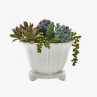 Scroll Planter - Addison West 