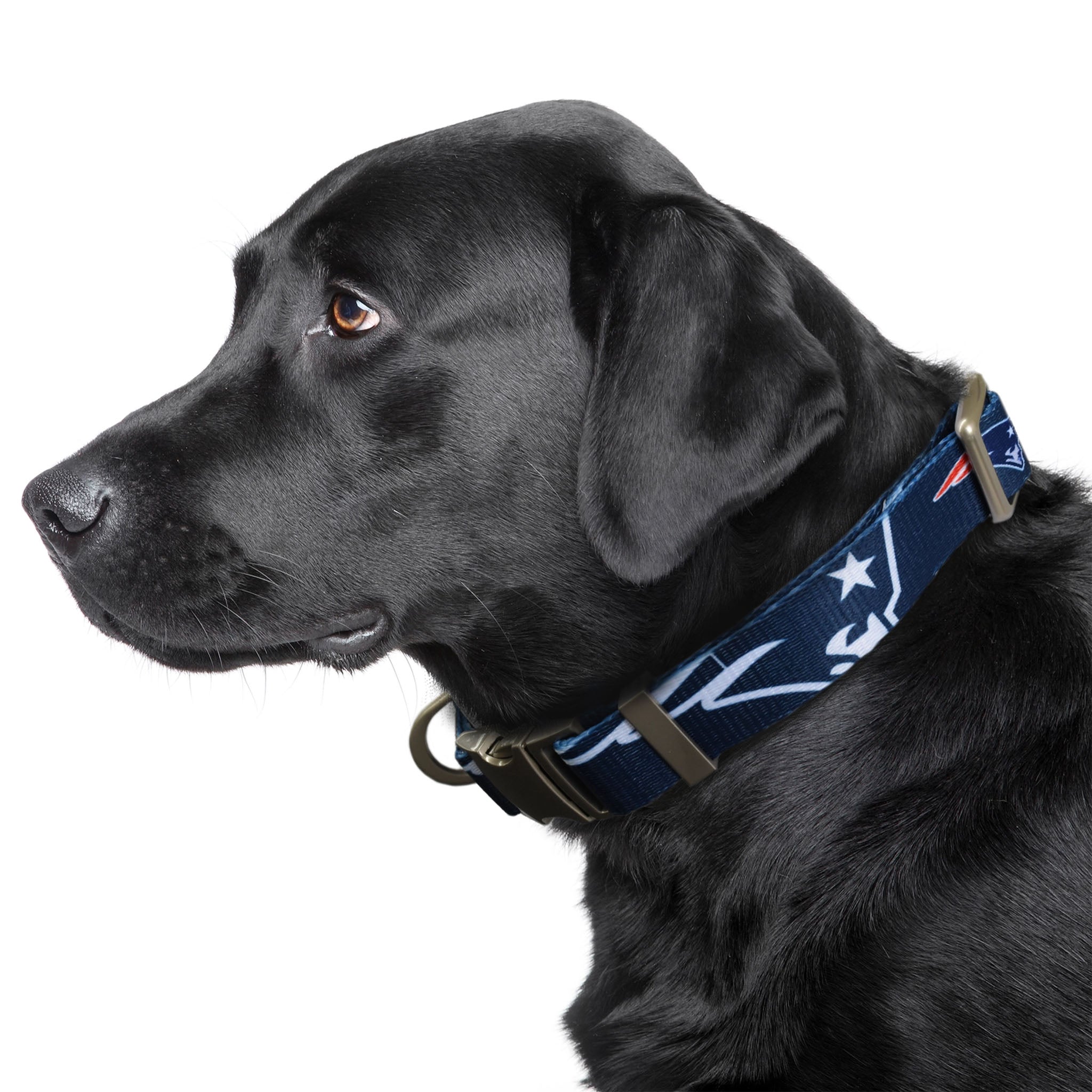 New England Patriots Premium Pet Collar Medium