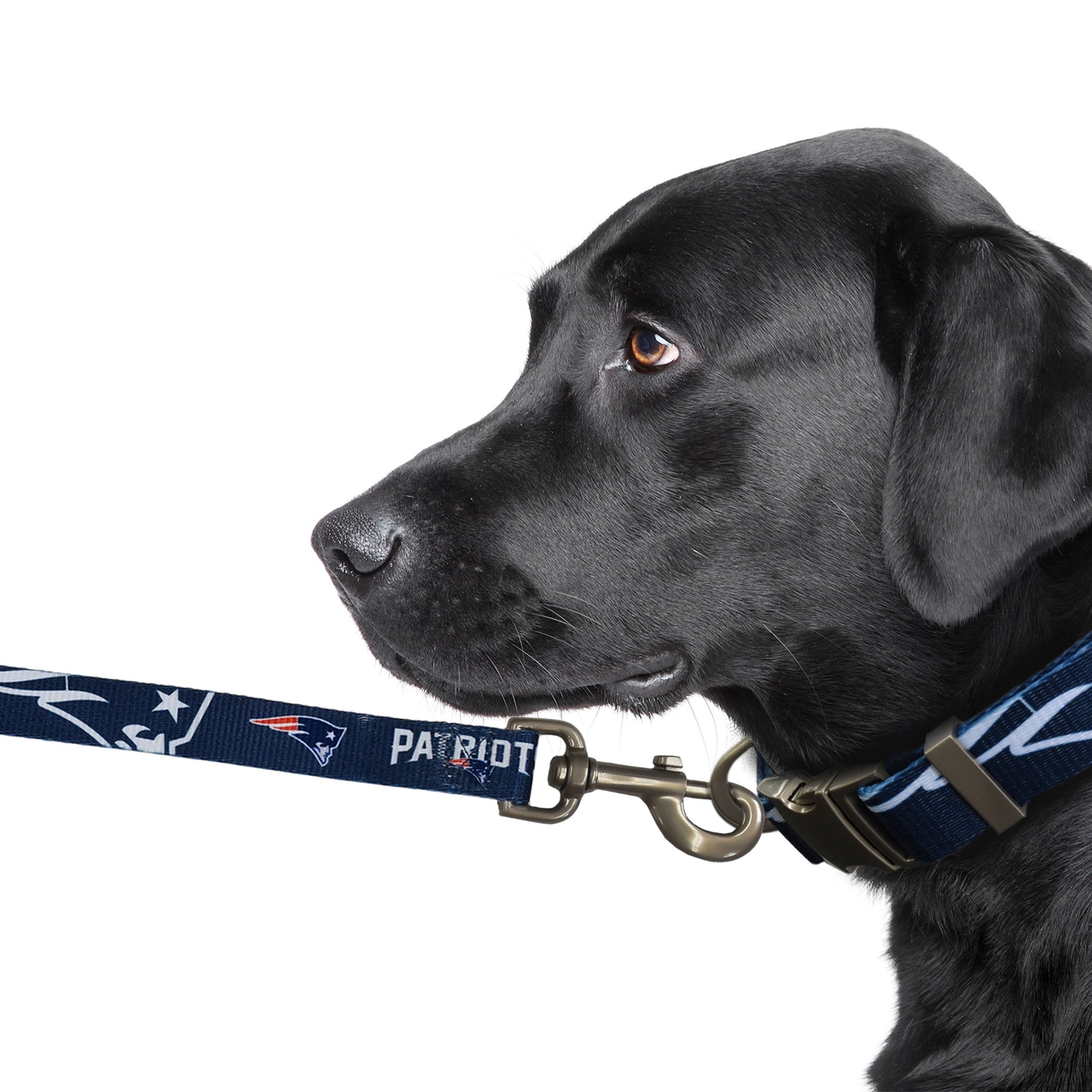 New England Patriots Premium Pet Lead - Addison West 