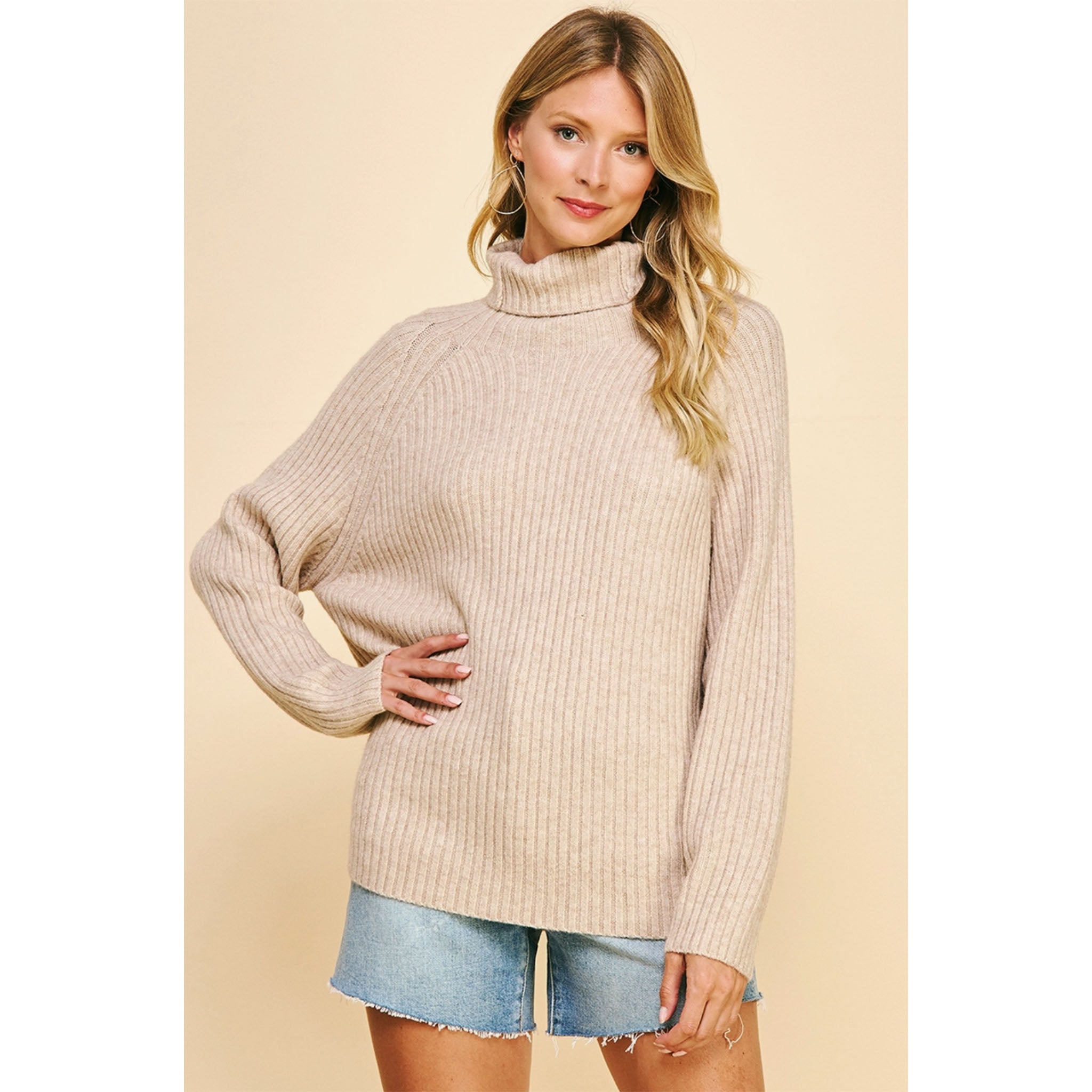 Pinch Ribbed Turtleneck Sweater in Oatmeal - Addison West 